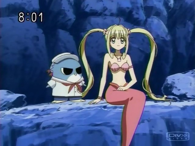 53