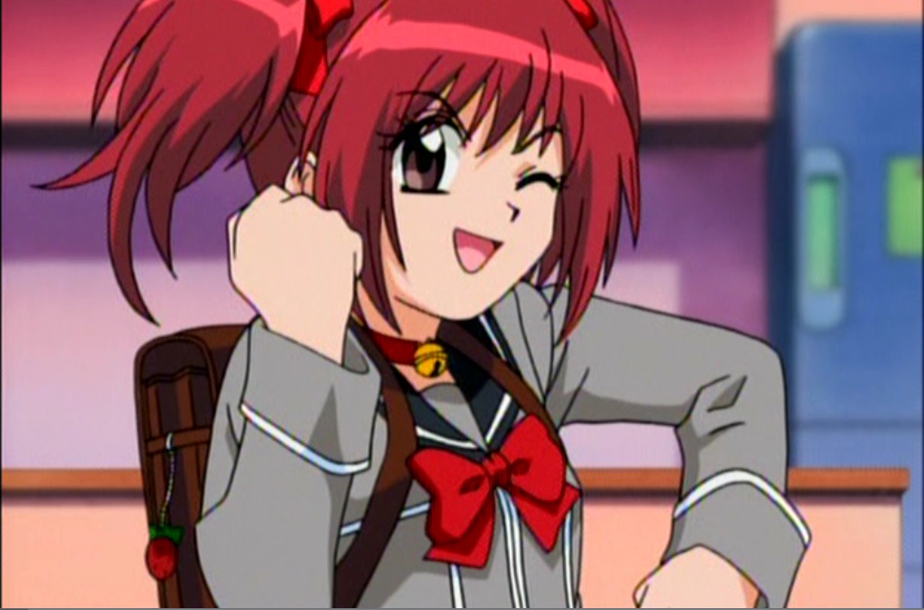 Tokyo Mew Mew: de dieren politie van de anime!