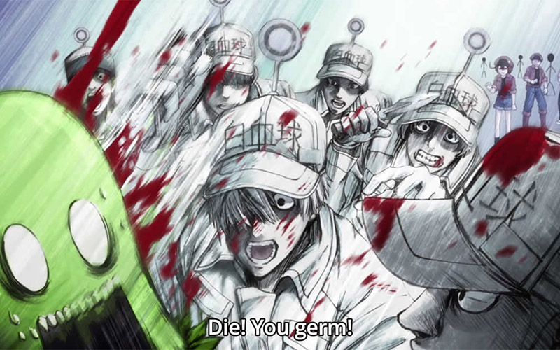 Cells at Work anime review