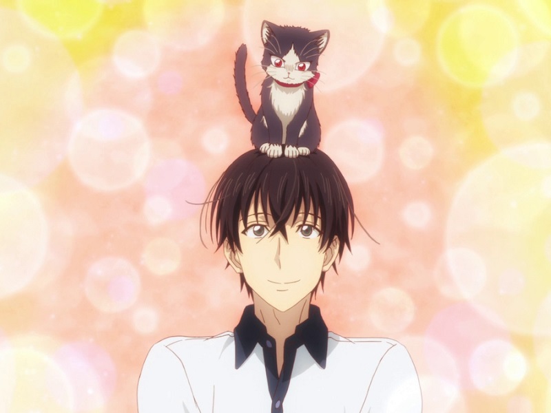 My Roommate is a Cat anime review